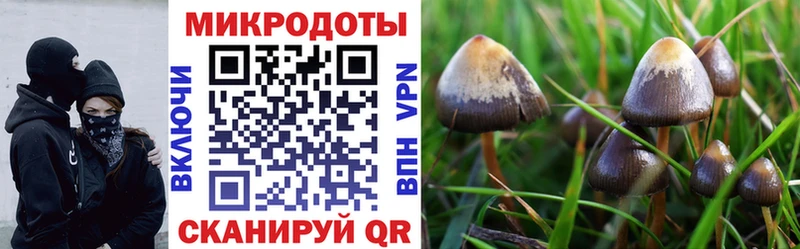 цена наркотик  Ельня  Псилоцибиновые грибы ЛСД 